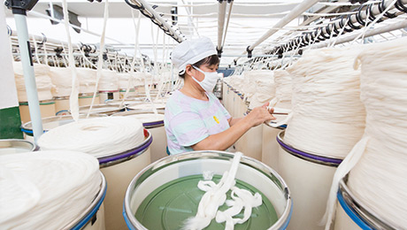 Viscose Fiber