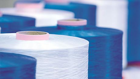 Polyester Yarn